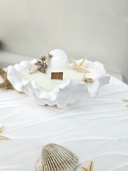 شمعة صدفة قوقعة