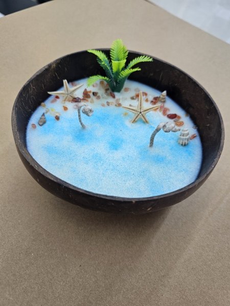 صحن جوز الهند