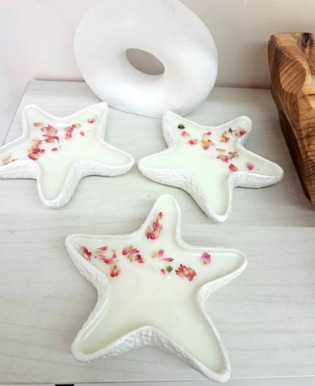 شمعة نجمة البحر