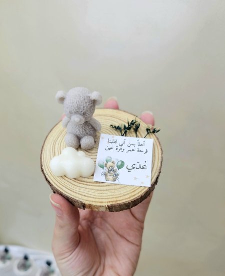 الدب تيدي مع غيمة