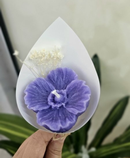 وردة الخشخاش