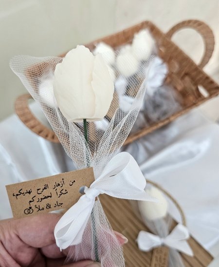 وردة التوليب